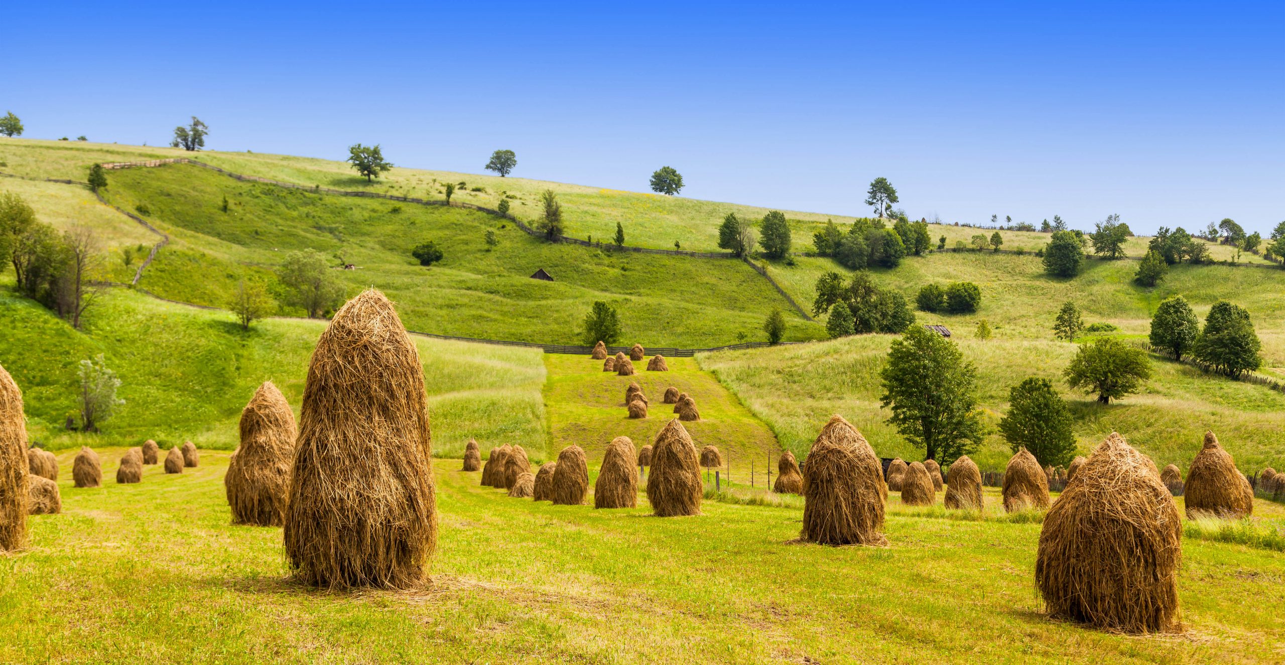 Tour breve della Moldavia & Bucovina